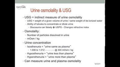 Urine Specific Gravity - What You Need to Know