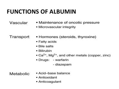 What Is Albuminuria?